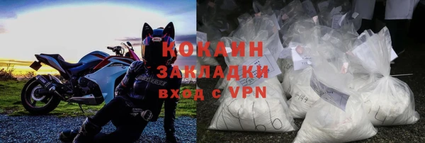 стаф Алзамай