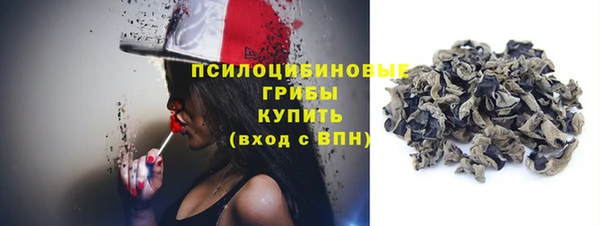 стаф Алзамай