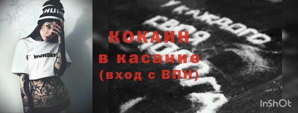 стаф Алзамай