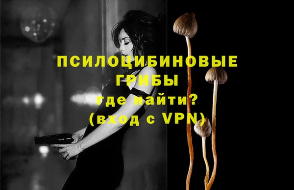 стаф Алзамай