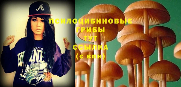 стаф Алзамай