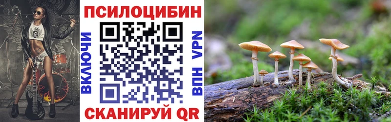 Псилоцибиновые грибы прущие грибы  Чухлома 